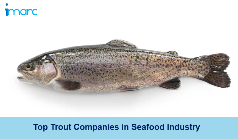 trout companies